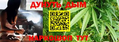 сатива Краснокаменск