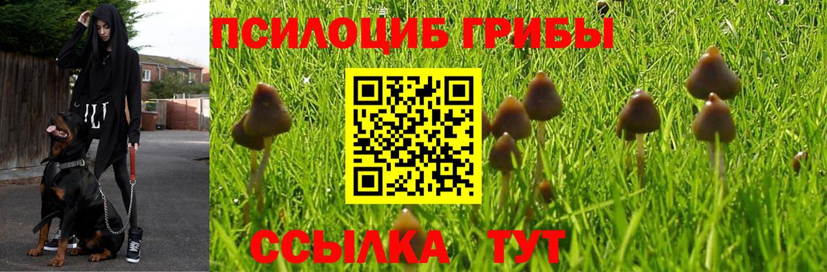Галлюциногенные грибы MAGIC MUSHROOMS  Вход с VPN  Псилоцибиновые грибы Cubensis  Заволжье 
