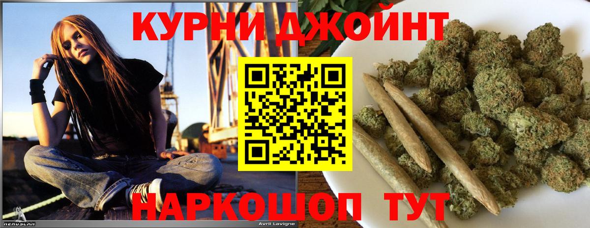 Бошки Шишки планчик  МАРИХУАНА VHQ  Канабис сатива  Вход с VPN  Заволжье  Каннабис план 